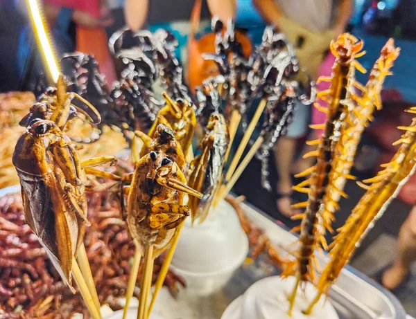 Popular Crunchy Dried Morsels Skewered Bamboo Sticks Variety Invertebrates Beetles — Foto de Stock