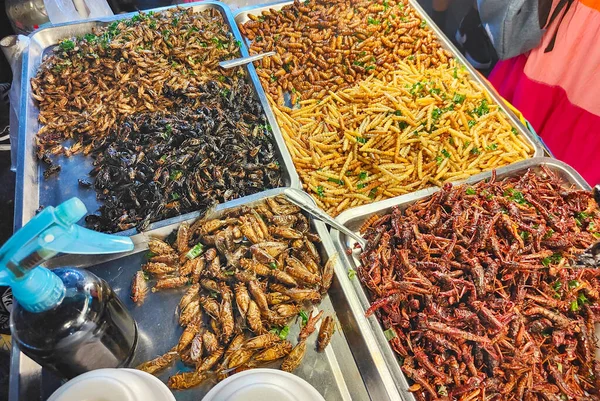 Popular street food,crunchy dried morsels,.A variety of invertebrates such as beetles,maggots,centipedes and scorpions,popular in southeast Asia.