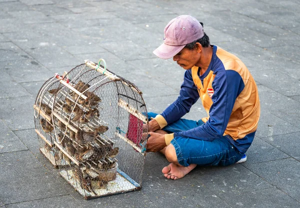 Phnom Penh Kambodja December 2022 Små Fåglar Som Hålls Bur — Stockfoto