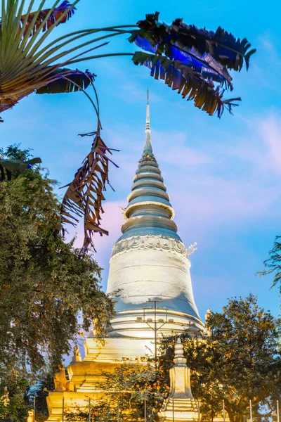 Wat Penh Kertekben Egy Ajándék Kínából Zöld Fűvel Borítva Egy — Stock Fotó
