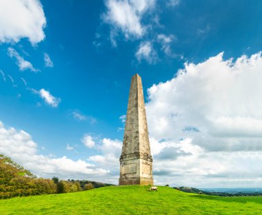 Yazın ortasında, Eastnor Şatosu ve Malvern yakınlarında, koyun Midsummer Hill 'de, Somer' in aile anıtı, Malverns, Worcestershire ve İngiliz kırsal kesiminin çevresinde otlar..