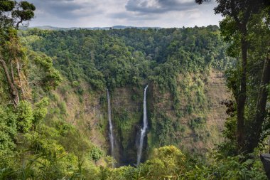 Bolaven Platosu 'ndaki Dong Hua Ulusal Parkı' nda iki 120 metrelik şelale. Yoğun tropikal yağmur ormanlarıyla çevrili Tad Fane tatil köyünden güzel manzaralı derin bir vadiye düşüyor..