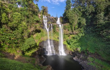 40 metre yüksekliğinde, güzel yağmur ormanları ve doğa ile çevrili, Paksong Bölgesi 'nde, güney Laos' un Pakse bölgesinde..