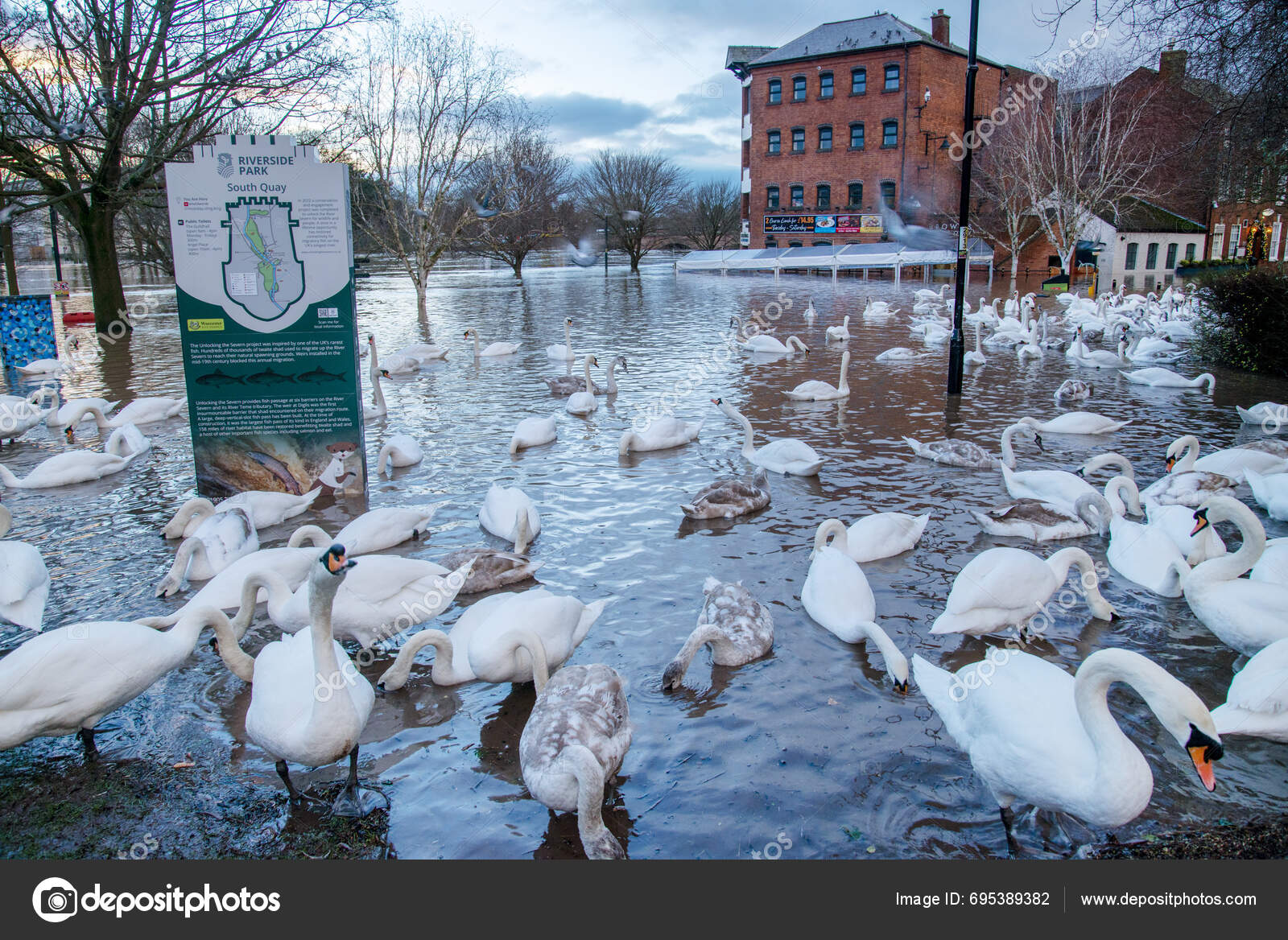 Worcester Worcestershire January 2024 Severe Flooding Caused Recent Winter Rains Stock