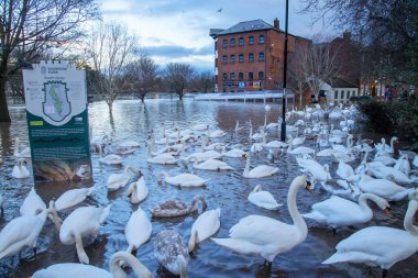 Severn Nehri 'nin taşkın kıyılarından gelen seller Worcester otobüsleri ve sakinleri için kaosa yol açıyor..