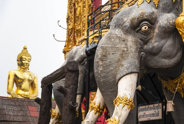 Budist tapınağında, Tayland, Myanmar ve Laos sınırlarının buluşma noktasında altın madalyayla süslenmiş etkileyici fil figürleri..