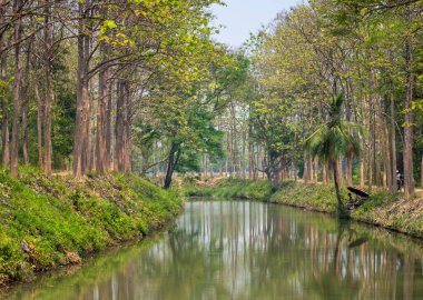 Mae Hong Son vilayeti, Kuzey Tayland-10 Nisan 2023: Tipik sıcak bir öğleden sonra ortasında, uzak bir figür büyük bir güneş şemsiyesiyle kavrulan güneşten gölgelenmiş bir şekilde balık tutar..