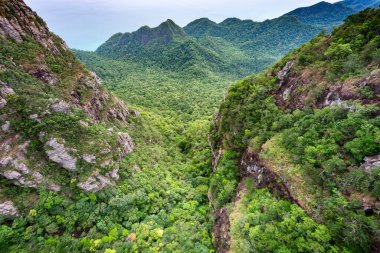 Langkawi Adası 'ndaki çelik kablo köprüsünden Mat Cincang ormanlarının tepelerine kadar uzanan Spetacular manzarası, Langkawi' nin en büyük turistik yerlerinden biri olan ikinci en yüksek dağ..