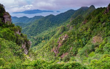 Langkawi Adası 'ndaki çelik kablo köprüsünden Mat Cincang ormanlarının tepelerine kadar uzanan Spetacular manzarası, Langkawi' nin en büyük turistik yerlerinden biri olan ikinci en yüksek dağ..