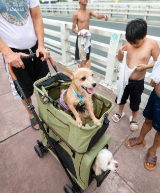Manila, Filipinler-13 Ocak 2023: Öğleden sonra geç saatlerde, küçük bir gezintide, kaldırım boyunca, Estrella Pantaleon köprüsü üzerinde, yakınlardaki apartman binalarına yakın,.