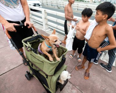 Manila, Filipinler-13 Ocak 2023: Öğleden sonra geç saatlerde, küçük bir gezintide, kaldırım boyunca, Estrella Pantaleon köprüsü üzerinde, yakınlardaki apartman binalarına yakın,.