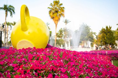 Chiang Mai, Tayland-07 Şubat 2025: Çiçek ve Güzelliğin Büyüsü. Canlı çiçek festivali dünya çapında birçok insanı cezbediyor ve Chiang Mai bölgesinin zengin çiçek mirasını sergiliyor..