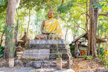 Ağaçlardan oluşan bir gölgeliğin altına yerleşen dini anıtlar, yağmur ormanları manzarasının arasında, yerel köylüler tarafından kullanılan tepelere saçıldı..