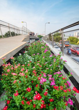 Çevre dostu, güzergahı boyunca birçok bitki, çiçek ve hayvan barındıran yüksek bir yürüyüş yolu, ekolojik olarak yeşil, doğrusal bir vaha gibi, işlek şehir caddelerinin üzerinden geçen ve yoğun yol trafiği.