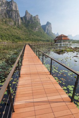 Tatlı su bataklığı ve Tayland 'ın en büyük sulak arazisi, mangrov ormanları, kuş türleri ve ekosistemlerin geniş çeşitliliği, tahta kaldırımlar, nilüferler ve dağ manzarası üzerinde doğa yürüyüşü..