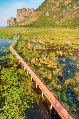 Tatlı su bataklığı ve Tayland 'ın en büyük sulak arazisi, mangrov ormanları, kuş türleri ve ekosistemlerin geniş çeşitliliği, tahta kaldırımlar, nilüferler ve dağ manzarası üzerinde doğa yürüyüşü..