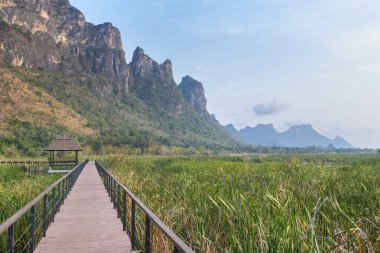 Tatlı su bataklığı ve Tayland 'ın en büyük sulak arazisi, mangrov ormanları, kuş türleri ve ekosistemlerin geniş çeşitliliği, tahta kaldırımlar, nilüferler ve dağ manzarası üzerinde doğa yürüyüşü..
