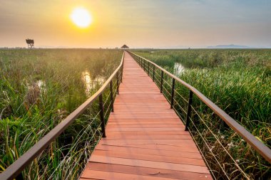 Tatlı su bataklığı ve Tayland 'ın en büyük sulak arazisi, mangrov ormanları, kuş türleri ve ekosistemlerin geniş çeşitliliği, tahta kaldırımlar, nilüferler ve dağ manzarası üzerinde doğa yürüyüşü..