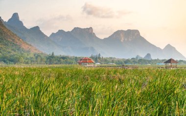 Tatlı su bataklığı ve Tayland 'ın en büyük sulak arazisi, mangrov ormanları, kuş türleri ve ekosistemlerin geniş çeşitliliği, tahta kaldırımlar, nilüferler ve dağ manzarası üzerinde doğa yürüyüşü..