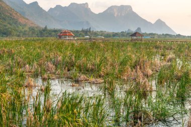 Tatlı su bataklığı ve Tayland 'ın en büyük sulak arazisi, mangrov ormanları, kuş türleri ve ekosistemlerin geniş çeşitliliği, tahta kaldırımlar, nilüferler ve dağ manzarası üzerinde doğa yürüyüşü..