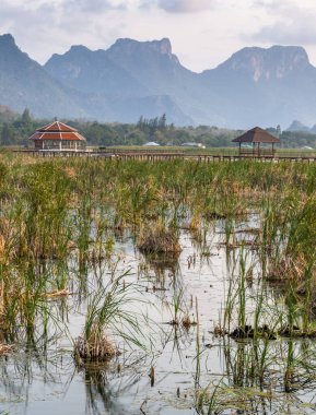 Tatlı su bataklığı ve Tayland 'ın en büyük sulak arazisi, mangrov ormanları, kuş türleri ve ekosistemlerin geniş çeşitliliği, tahta kaldırımlar, nilüferler ve dağ manzarası üzerinde doğa yürüyüşü..