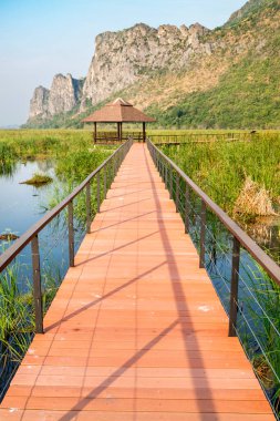 Tatlı su bataklığı ve Tayland 'ın en büyük sulak arazisi, mangrov ormanları, kuş türleri ve ekosistemlerin geniş çeşitliliği, tahta kaldırımlar, nilüferler ve dağ manzarası üzerinde doğa yürüyüşü..