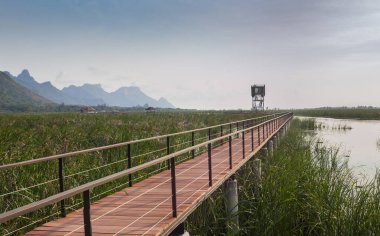 Tatlı su bataklığı ve Tayland 'ın en büyük sulak arazisi, mangrov ormanları, kuş türleri ve ekosistemlerin geniş çeşitliliği, tahta kaldırımlar, nilüferler ve dağ manzarası üzerinde doğa yürüyüşü..