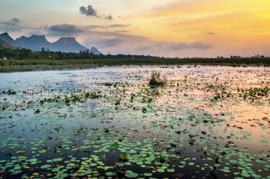 Tatlı su bataklığı ve Tayland 'ın en büyük sulak arazisi, mangrov ormanları, kuş türleri ve ekosistemlerin geniş çeşitliliği, tahta kaldırımlar, nilüferler ve dağ manzarası üzerinde doğa yürüyüşü..