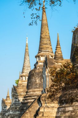 Geniş tapınak alanı ve önemli tarihi mekanın bir parçası olarak, öğleden sonra güneş ışığı altında, etrafını çevreleyen tuğla ve pagoda ile antik fayanslar arasında büyüyen birçok eski ağaç var..