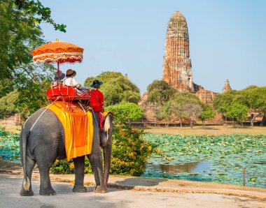 Tayland-09 Şubat 2024: Turistler, eski kraliyet sarayının yakınlarındaki sıcak bir öğleden sonra, bakıcıları tarafından rehberlik edilen fil turlarına çıkarlar..
