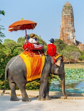 Tayland-09 Şubat 2024: Turistler, eski kraliyet sarayının yakınlarındaki sıcak bir öğleden sonra, bakıcıları tarafından rehberlik edilen fil turlarına çıkarlar..
