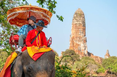 Tayland-09 Şubat 2024: Turistler, eski kraliyet sarayının yakınlarındaki sıcak bir öğleden sonra, bakıcıları tarafından rehberlik edilen fil turlarına çıkarlar..