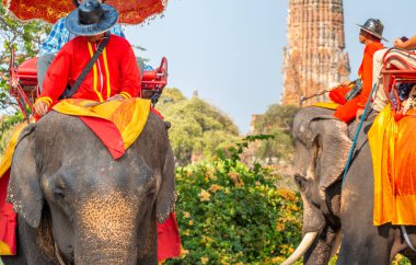 Tayland-09 Şubat 2024: Turistler, eski kraliyet sarayının yakınlarındaki sıcak bir öğleden sonra, bakıcıları tarafından rehberlik edilen fil turlarına çıkarlar..
