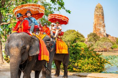 Tayland-09 Şubat 2024: Turistler, eski kraliyet sarayının yakınlarındaki sıcak bir öğleden sonra, bakıcıları tarafından rehberlik edilen fil turlarına çıkarlar..