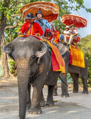 Tayland-09 Şubat 2024: Turistler, eski kraliyet sarayının yakınlarındaki sıcak bir öğleden sonra, bakıcıları tarafından rehberlik edilen fil turlarına çıkarlar..