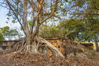 Angkor Arkeoloji Parkı 'nın bir parçası olan tarihi 9. yüzyıl Angkor tapınağının kalıntıları arasında Tonle Sap Gölü' ne tepeden bakan bir tepede çarpıcı bir şekilde yayılıyor..