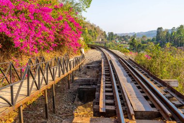 Tek tren yolu, güzel pembe çiçeklerin yanındaki istasyon platformlarından uzağa uzanıyor, ve ilerideki resim gibi manzara, kölelik kullanılarak inşa edilmiş, karanlık, ikinci dünya savaşı tarihiyle çelişiyor..