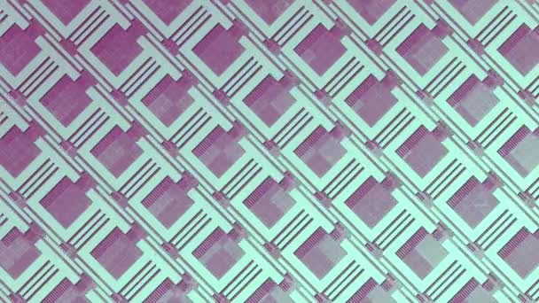 紫色のデジタル背景にある青い線のシームレスなループアニメーションによる抽象的な幾何学的パターン 未来的なコンセプト 3Dレンダリング ウルトラHd解像度 — ストック動画