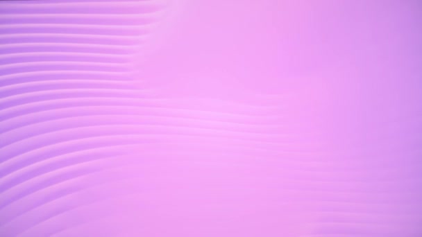 Roze Paars Abstract Patroon Van Een Reeks Gebogen Lijnen Een — Stockvideo