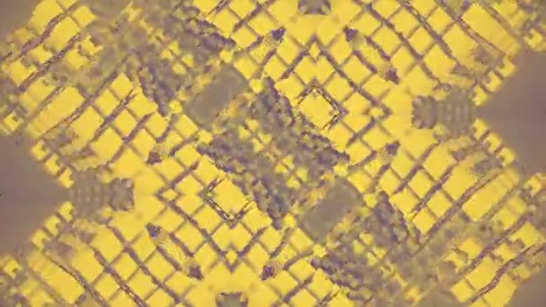 Абстрактная Мультипликация Желтого Фиолетового Геометрических Узоров Состоящих Кубиков Создавая Сложную — стоковое видео