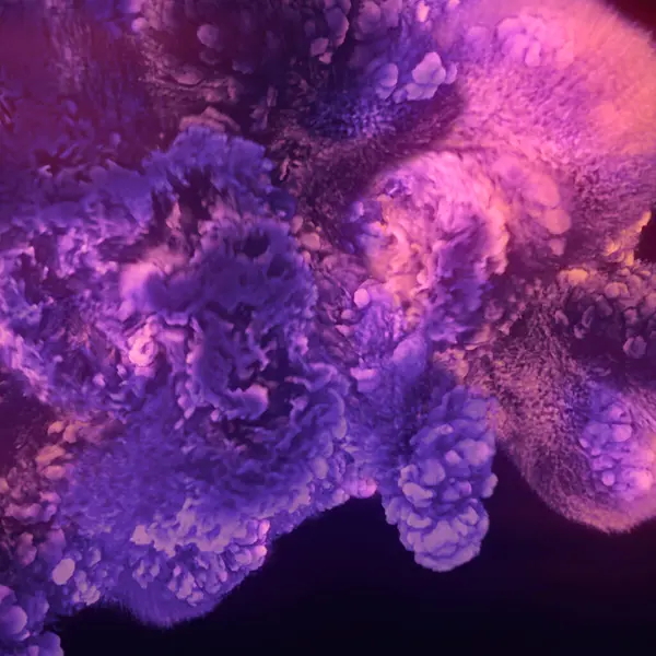Aallot Jättiläinen Kemiallinen Tulipalo Räjähdys Kirkkaan Violetti Punainen Värimaailma Visuaalisesti — kuvapankkivalokuva