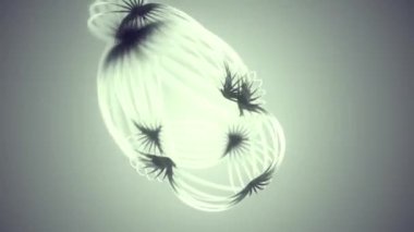 Siyah ve beyaz gradyanı olan ince oval çizgilerden oluşan hareket eden bir geometrik figürün soyut dijital bileşimi. Kusursuz döngü animasyonu. 3D görüntüleme. 4K, Ultra HD çözünürlüğü
