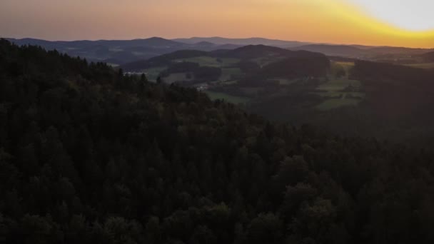 Rekaman Dari Drone Matahari Terbenam Musim Panas Hutan Bavarian Dekat — Stok Video
