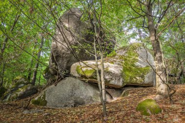 Strangely shaped stone foot of a fossilized titan and an alien skull in the background at cult site Wackelstein Regenstauf in Upper Palatinate Bavaria in Germany