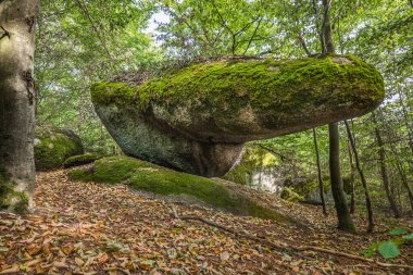 Strangely shaped stone beak stone human stone working defies gravity upright stands artificially placed at a cult site Wackelstein Regenstauf in Upper Palatinate Bavaria in Germany