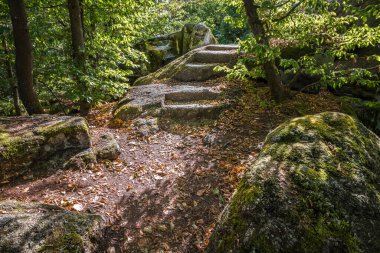 Stone stairs and human processing of stone rocks from the prehistoric times of the ancestors at cult site Wackelstein Regenstauf in Upper Palatinate Bavaria, Germany