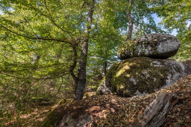 Wackelstein, Regensburg yakınlarındaki Yukarı Palatinate ormanında Regensburg yakınlarındaki sallanan kaya tarikatı, Almanya 'da çekilecek ve oynatılacak zincirle sallanıyor.