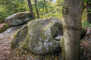 Bowls and bowl stone of a human stone working from the prehistoric times of the ancestors and forefathers at cult place Wackelstein Regenstauf in Upper Palatinate Bavaria, Germany