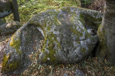 Bowls and bowl stone of a human stone working from the prehistoric times of the ancestors and forefathers at cult place Wackelstein Regenstauf in Upper Palatinate Bavaria, Germany