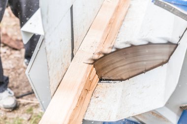 Close up of circular saw with logs for wood cutting, Germany